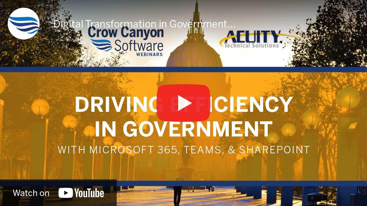 driving efficiency in government